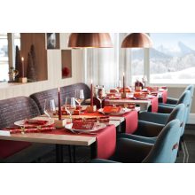 Duni futó Evolin 0,41x24 m Bordó