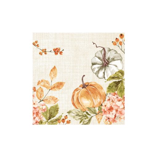 DuniSoft BIO textilhatású szalvéta Fűszeres tök, 60 db/cs.