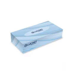   Lucart Strong 100V Kozmetikai kendő 2 r. fehér 100 db/doboz         