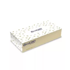   Lucart Econatural Kozmetikai kendő 2 r. natur 100 db/doboz  